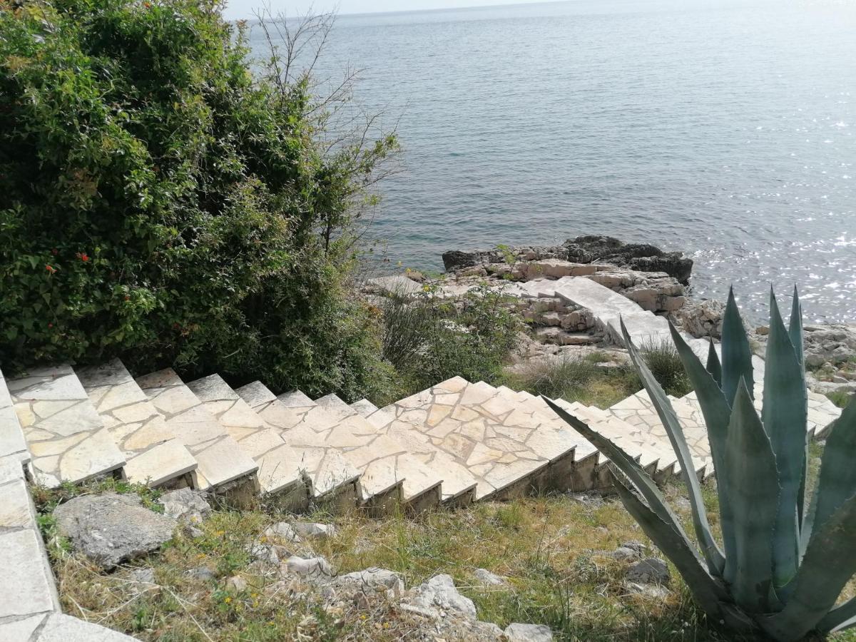 Apartman Marinkovic Dobra Voda Esterno foto