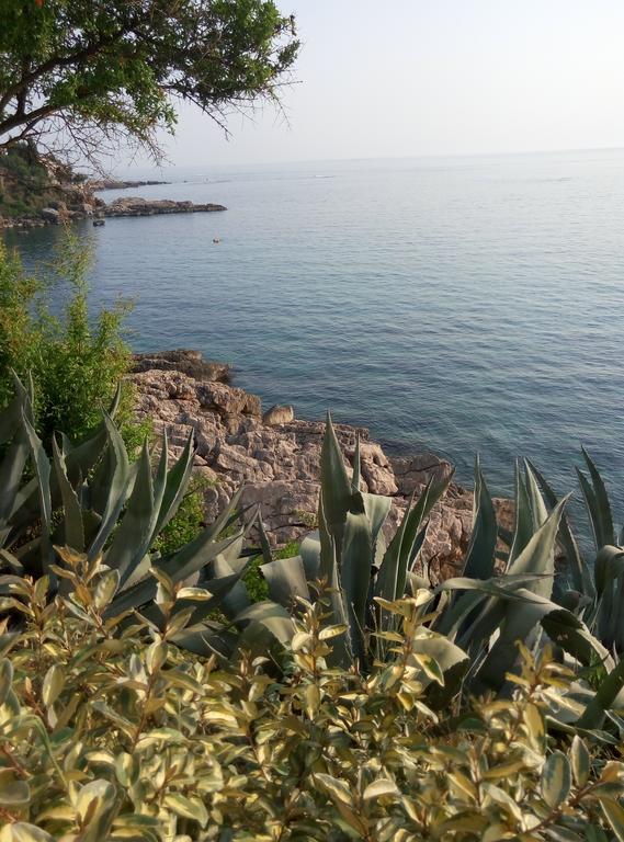 Apartman Marinkovic Dobra Voda Esterno foto