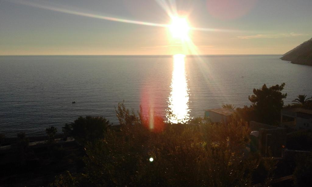 Apartman Marinkovic Dobra Voda Esterno foto