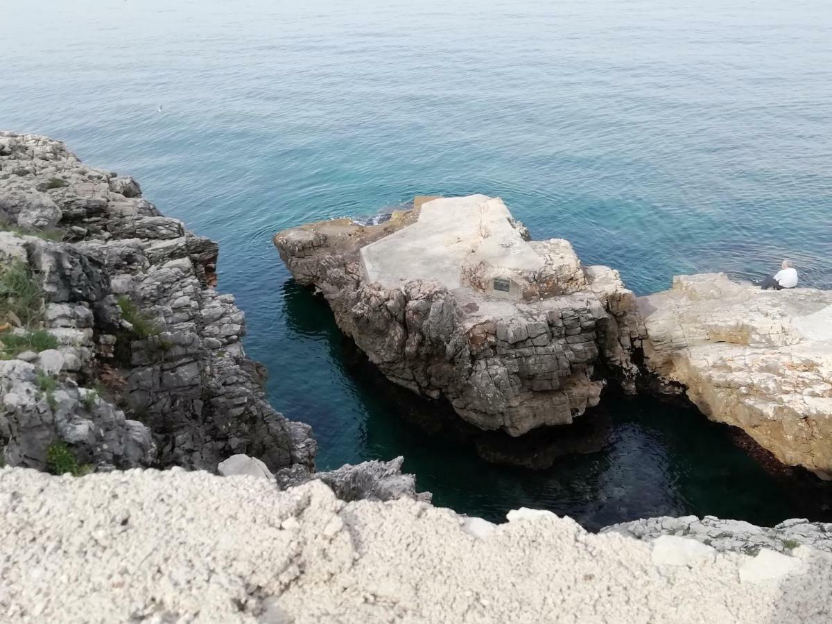 Apartman Marinkovic Dobra Voda Esterno foto