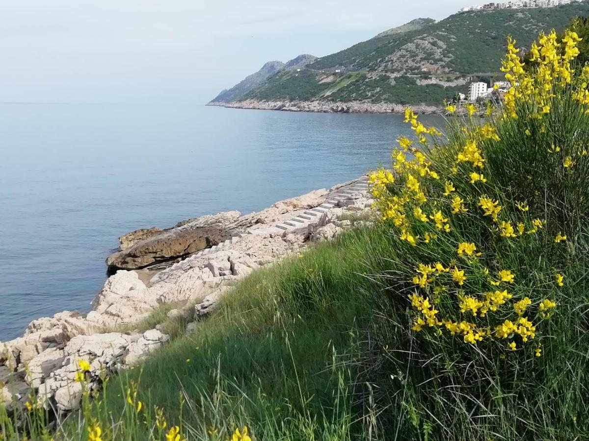 Apartman Marinkovic Dobra Voda Esterno foto